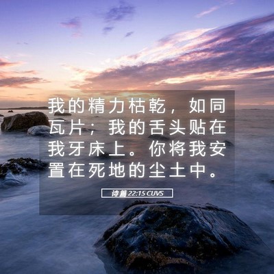 Picture 05 - 诗 篇 22:15 CUVS - 我 的 精 力 枯 乾 ， 如 同 瓦 片 ； - Bible Verse Picture