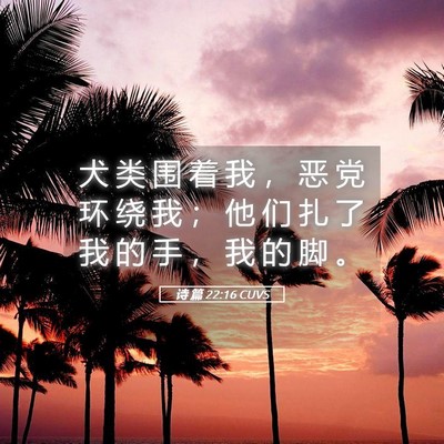 Picture 05 - 诗 篇 22:16 CUVS - 犬 类 围 着 我 ， 恶 党 环 绕 我 ； - Bible Verse Picture