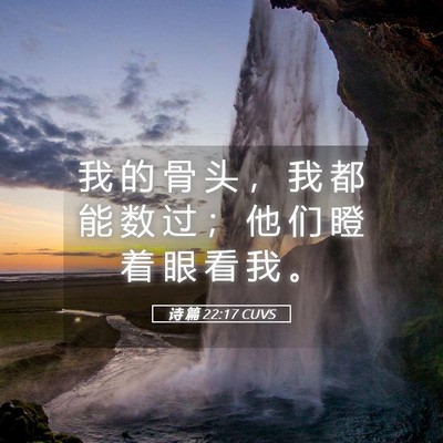 Picture 05 - 诗 篇 22:17 CUVS - 我 的 骨 头 ， 我 都 能 数 过 ； 他 - Bible Verse Picture