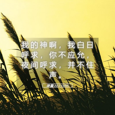 Picture 05 - 诗 篇 22:2 CUVS - 我 的 神 啊 ， 我 白 日 呼 求 ， 你 - Bible Verse Picture