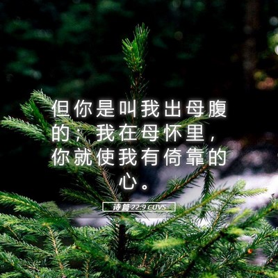 Picture 05 - 诗 篇 22:9 CUVS - 但 你 是 叫 我 出 母 腹 的 ； 我 在 - Bible Verse Picture