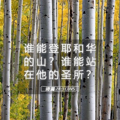 Picture 05 - 诗 篇 24:3 CUVS - 谁 能 登 耶 和 华 的 山 ？ 谁 能 站 - Bible Verse Picture