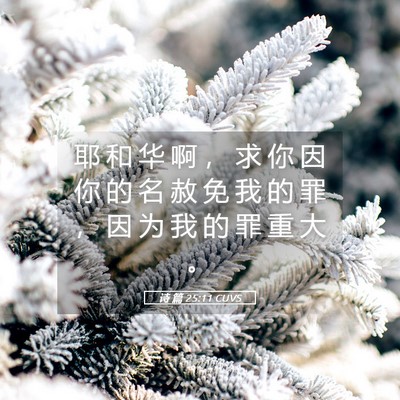 Picture 05 - 诗 篇 25:11 CUVS - 耶 和 华 啊 ， 求 你 因 你 的 名 赦 - Bible Verse Picture