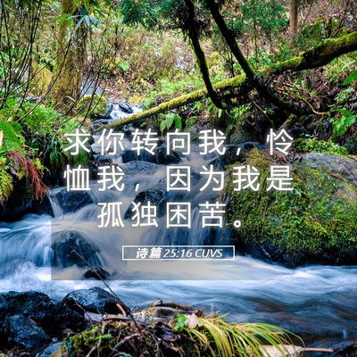 Picture 05 - 诗 篇 25:16 CUVS - 求 你 转 向 我 ， 怜 恤 我 ， 因 为 - Bible Verse Picture