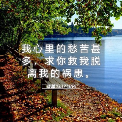 Picture 05 - 诗 篇 25:17 CUVS - 我 心 里 的 愁 苦 甚 多 ， 求 你 救 - Bible Verse Picture