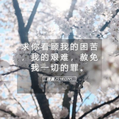 Picture 05 - 诗 篇 25:18 CUVS - 求 你 看 顾 我 的 困 苦 ， 我 的 艰 - Bible Verse Picture