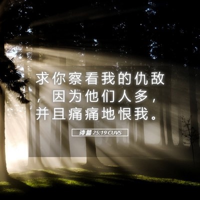 Picture 05 - 诗 篇 25:19 CUVS - 求 你 察 看 我 的 仇 敌 ， 因 为 他 - Bible Verse Picture