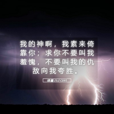 Picture 05 - 诗 篇 25:2 CUVS - 我 的 神 啊 ， 我 素 来 倚 靠 你 ； - Bible Verse Picture