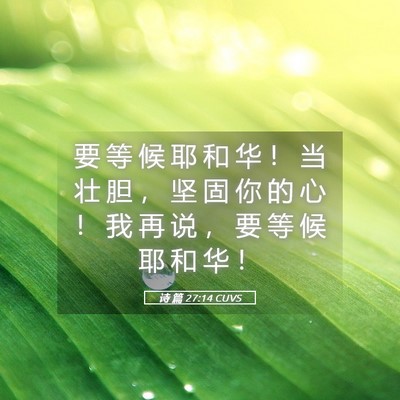 Picture 05 - 诗 篇 27:14 CUVS - 要 等 候 耶 和 华 ！ 当 壮 胆 ， 坚 - Bible Verse Picture