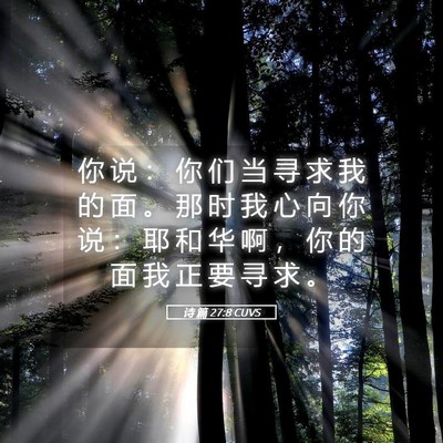 Picture 05 - 诗 篇 27:8 CUVS - 你 说 ： 你 们 当 寻 求 我 的 面 。 - Bible Verse Picture