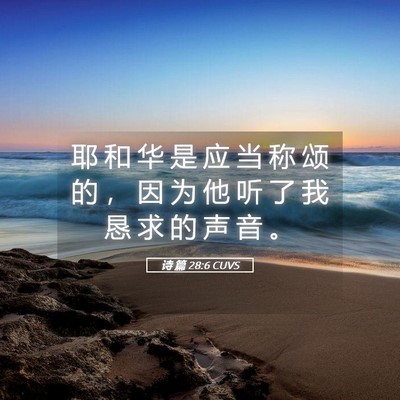 Picture 05 - 诗 篇 28:6 CUVS - 耶 和 华 是 应 当 称 颂 的 ， 因 为 - Bible Verse Picture