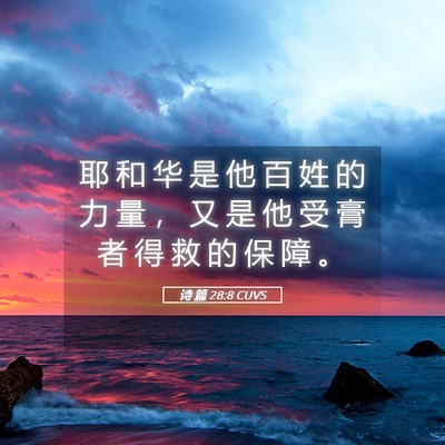 Picture 05 - 诗 篇 28:8 CUVS - 耶 和 华 是 他 百 姓 的 力 量 ， 又 - Bible Verse Picture