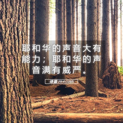 Picture 05 - 诗 篇 29:4 CUVS - 耶 和 华 的 声 音 大 有 能 力 ； 耶 - Bible Verse Picture