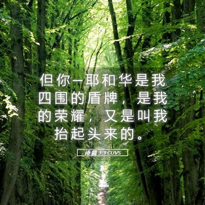 Picture 05 - 诗 篇 3:3 CUVS - 但 你 ─ 耶 和 华 是 我 四 围 的 盾 - Bible Verse Picture