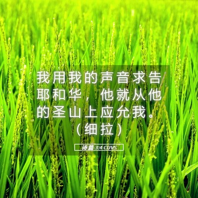 Picture 05 - 诗 篇 3:4 CUVS - 我 用 我 的 声 音 求 告 耶 和 华 ， - Bible Verse Picture
