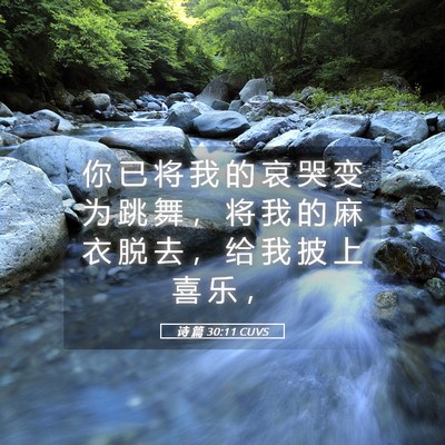 Picture 05 - 诗 篇 30:11 CUVS - 你 已 将 我 的 哀 哭 变 为 跳 舞 ， - Bible Verse Picture
