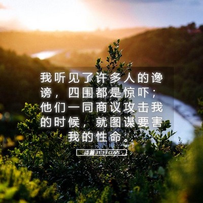 Picture 05 - 诗 篇 31:13 CUVS - 我 听 见 了 许 多 人 的 谗 谤 ， 四 - Bible Verse Picture