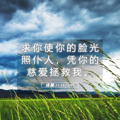 Picture 05 - 诗 篇 31:16 CUVS - 求 你 使 你 的 脸 光 照 仆 人 ， 凭 - Bible Verse Picture