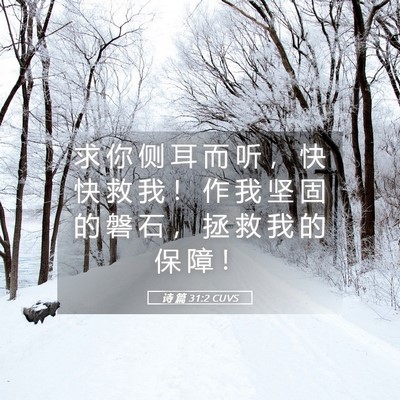 Picture 05 - 诗 篇 31:2 CUVS - 求 你 侧 耳 而 听 ， 快 快 救 我 ！ - Bible Verse Picture