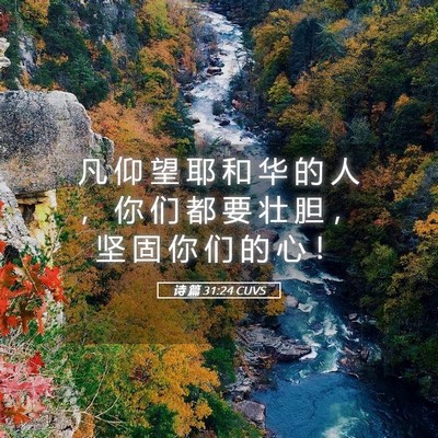 Picture 05 - 诗 篇 31:24 CUVS - 凡 仰 望 耶 和 华 的 人 ， 你 们 都 - Bible Verse Picture