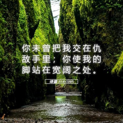 Picture 05 - 诗 篇 31:8 CUVS - 你 未 曾 把 我 交 在 仇 敌 手 里 ； - Bible Verse Picture