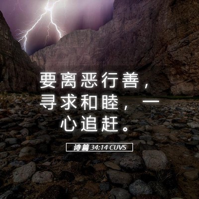 Picture 05 - 诗 篇 34:14 CUVS - 要 离 恶 行 善 ， 寻 求 和 睦 ， 一 - Bible Verse Picture