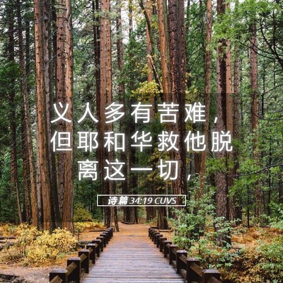 Picture 05 - 诗 篇 34:19 CUVS - 义 人 多 有 苦 难 ， 但 耶 和 华 救 - Bible Verse Picture