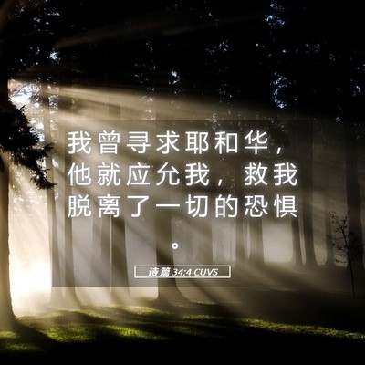 Picture 05 - 诗 篇 34:4 CUVS - 我 曾 寻 求 耶 和 华 ， 他 就 应 允 - Bible Verse Picture