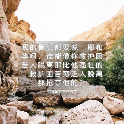 Picture 05 - 诗 篇 35:10 CUVS - 我 的 骨 头 都 要 说 ： 耶 和 华 啊 - Bible Verse Picture