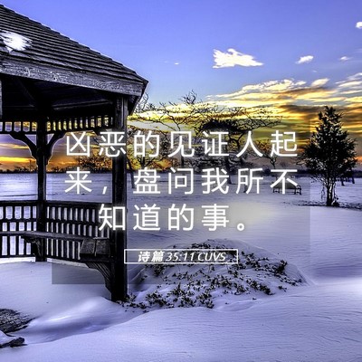 Picture 05 - 诗 篇 35:11 CUVS - 凶 恶 的 见 证 人 起 来 ， 盘 问 我 - Bible Verse Picture