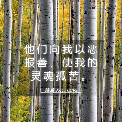 Picture 05 - 诗 篇 35:12 CUVS - 他 们 向 我 以 恶 报 善 ， 使 我 的 - Bible Verse Picture