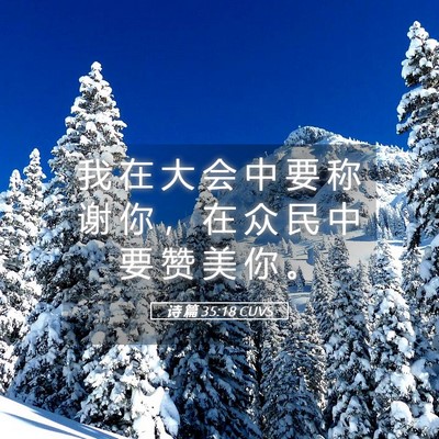 Picture 05 - 诗 篇 35:18 CUVS - 我 在 大 会 中 要 称 谢 你 ， 在 众 - Bible Verse Picture