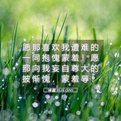 Picture 05 - 诗 篇 35:26 CUVS - 愿 那 喜 欢 我 遭 难 的 一 同 抱 愧 - Bible Verse Picture