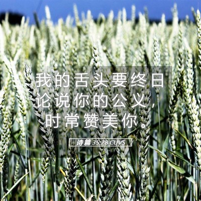 Picture 05 - 诗 篇 35:28 CUVS - 我 的 舌 头 要 终 日 论 说 你 的 公 - Bible Verse Picture