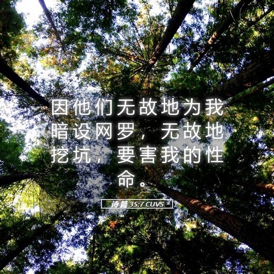 Picture 05 - 诗 篇 35:7 CUVS - 因 他 们 无 故 地 为 我 暗 设 网 罗 - Bible Verse Picture