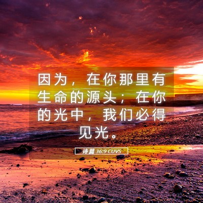 Picture 05 - 诗 篇 36:9 CUVS - 因 为 ， 在 你 那 里 有 生 命 的 源 - Bible Verse Picture