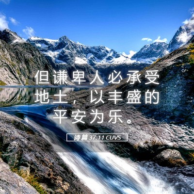 Picture 05 - 诗 篇 37:11 CUVS - 但 谦 卑 人 必 承 受 地 土 ， 以 丰 - Bible Verse Picture