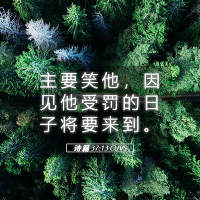 Picture 05 - 诗 篇 37:13 CUVS - 主 要 笑 他 ， 因 见 他 受 罚 的 日 - Bible Verse Picture