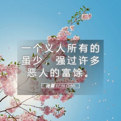 Picture 05 - 诗 篇 37:16 CUVS - 一 个 义 人 所 有 的 虽 少 ， 强 过 - Bible Verse Picture