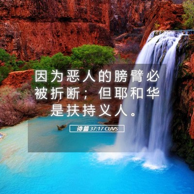 Picture 05 - 诗 篇 37:17 CUVS - 因 为 恶 人 的 膀 臂 必 被 折 断 ； - Bible Verse Picture