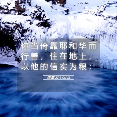 Picture 05 - 诗 篇 37:3 CUVS - 你 当 倚 靠 耶 和 华 而 行 善 ， 住 - Bible Verse Picture