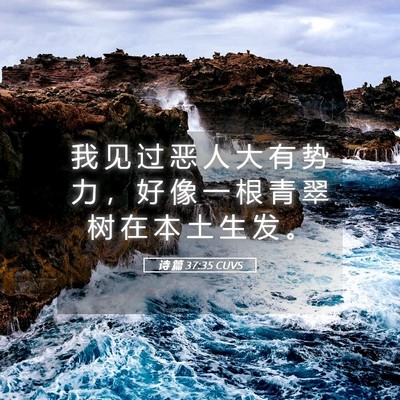 Picture 05 - 诗 篇 37:35 CUVS - 我 见 过 恶 人 大 有 势 力 ， 好 像 - Bible Verse Picture