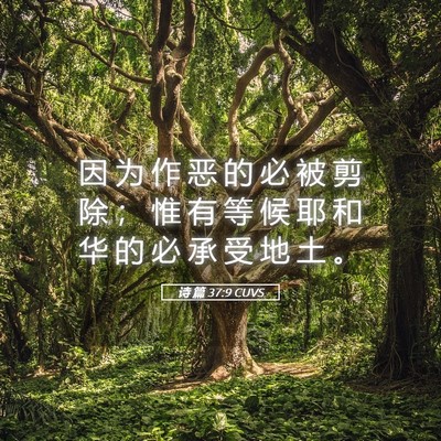 Picture 05 - 诗 篇 37:9 CUVS - 因 为 作 恶 的 必 被 剪 除 ； 惟 有 - Bible Verse Picture