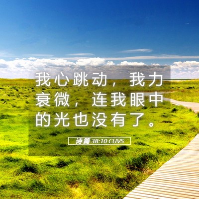 Picture 05 - 诗 篇 38:10 CUVS - 我 心 跳 动 ， 我 力 衰 微 ， 连 我 - Bible Verse Picture