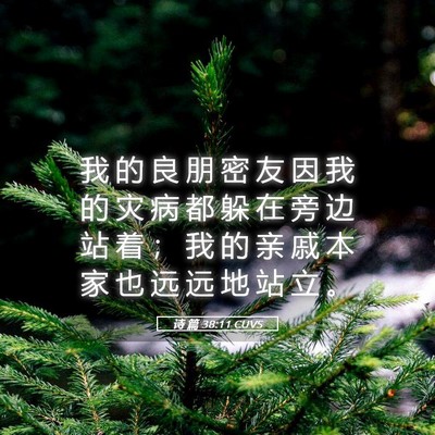 Picture 05 - 诗 篇 38:11 CUVS - 我 的 良 朋 密 友 因 我 的 灾 病 都 - Bible Verse Picture