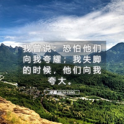 Picture 05 - 诗 篇 38:16 CUVS - 我 曾 说 ： 恐 怕 他 们 向 我 夸 耀 - Bible Verse Picture