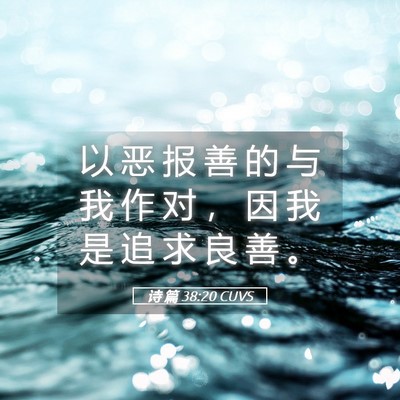 Picture 05 - 诗 篇 38:20 CUVS - 以 恶 报 善 的 与 我 作 对 ， 因 我 - Bible Verse Picture