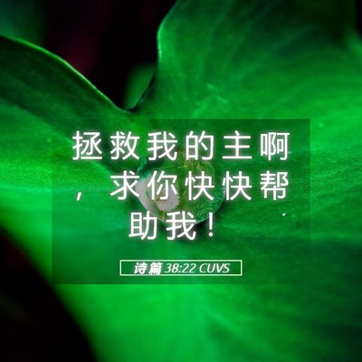 Picture 05 - 诗 篇 38:22 CUVS - 拯 救 我 的 主 啊 ， 求 你 快 快 帮 - Bible Verse Picture