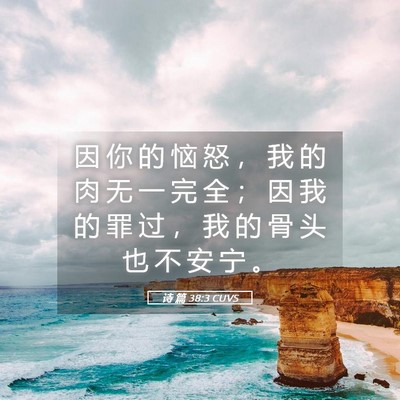 Picture 05 - 诗 篇 38:3 CUVS - 因 你 的 恼 怒 ， 我 的 肉 无 一 完 - Bible Verse Picture
