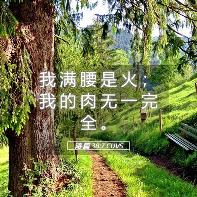 Picture 05 - 诗 篇 38:7 CUVS - 我 满 腰 是 火 ； 我 的 肉 无 一 完 - Bible Verse Picture
